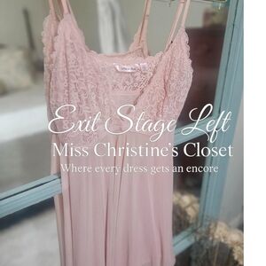 La Vie En Rose Blush Lace Chemise